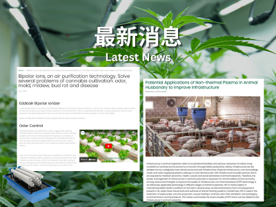 Edda air latest news
